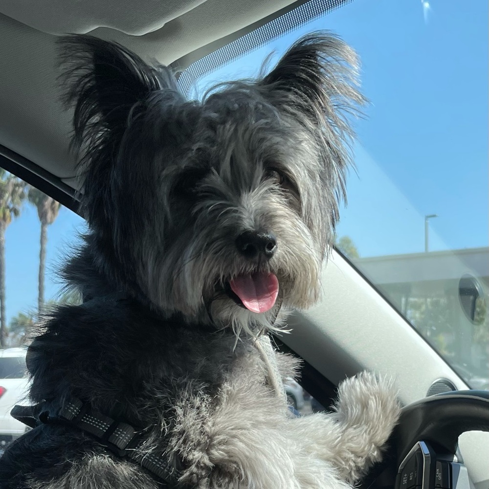 Meet your Posher, Claudia